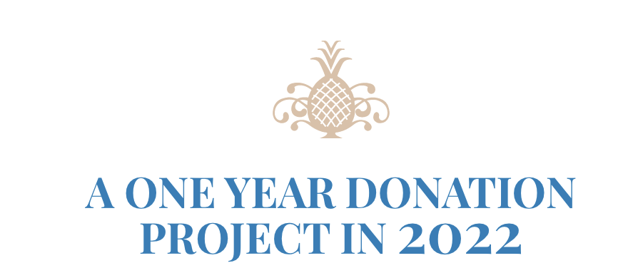 a one year donation project in 2022